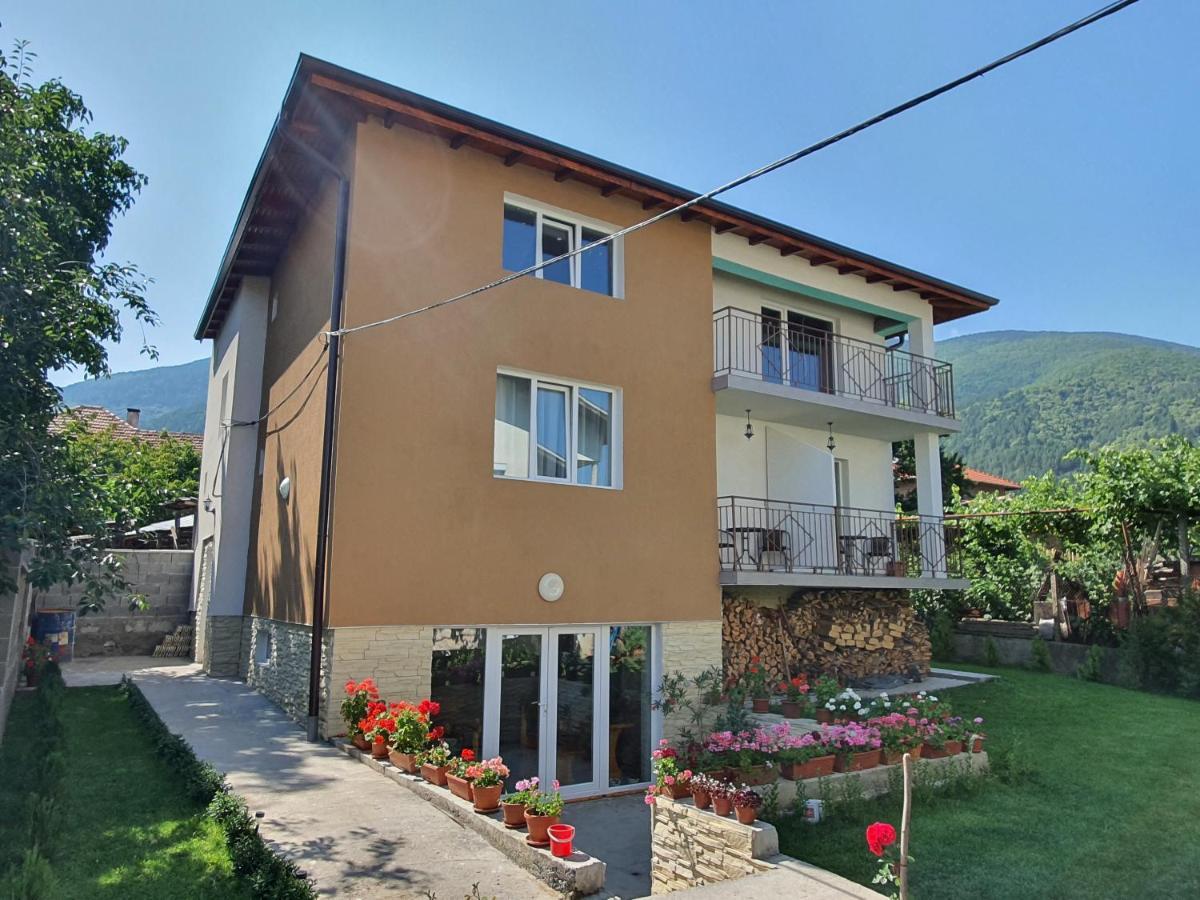 Дамяновата Къща Hotell Sapareva Banja Eksteriør bilde